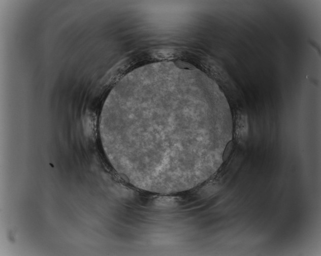 X0000101220332200807181557