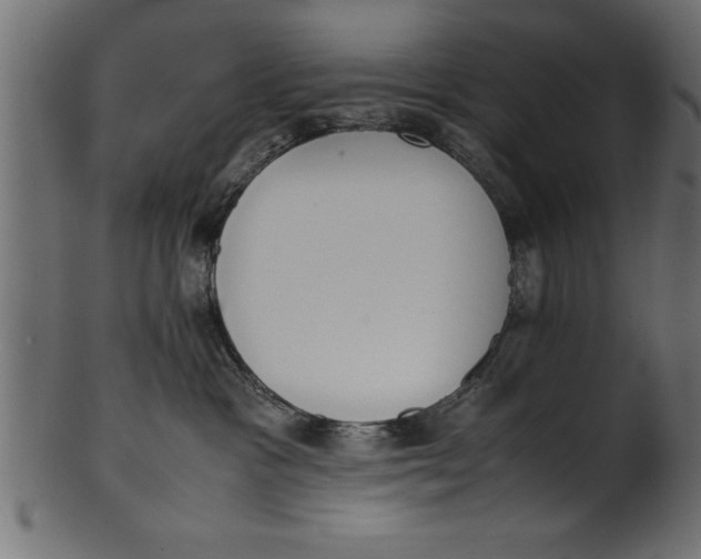 X0000101220333200807181557