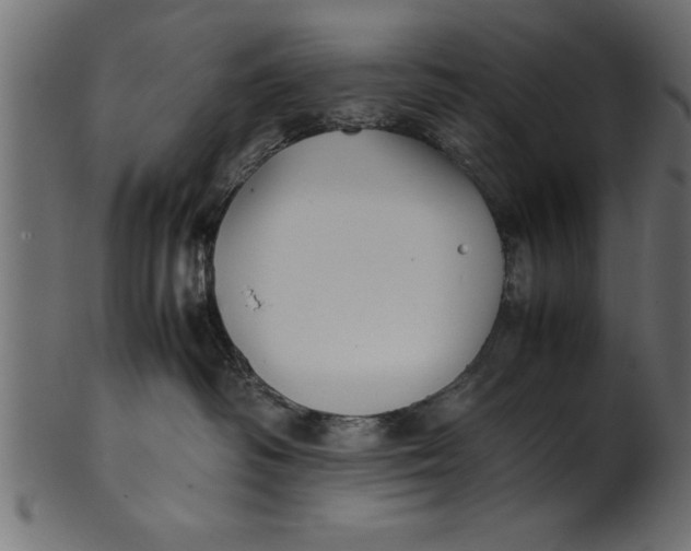 X0000101220334200807181557