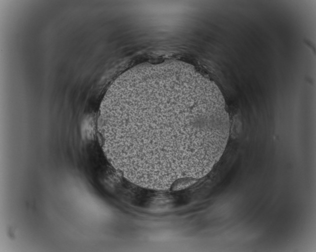 X0000101220335200807181557