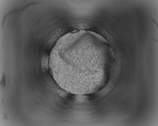 X0000101220336200807181557