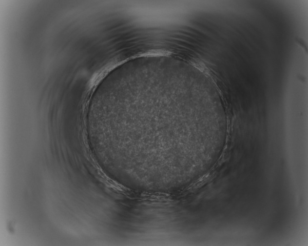 X0000101220337200807181557