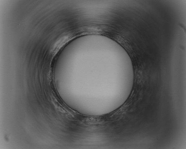 X0000101220338200807181557