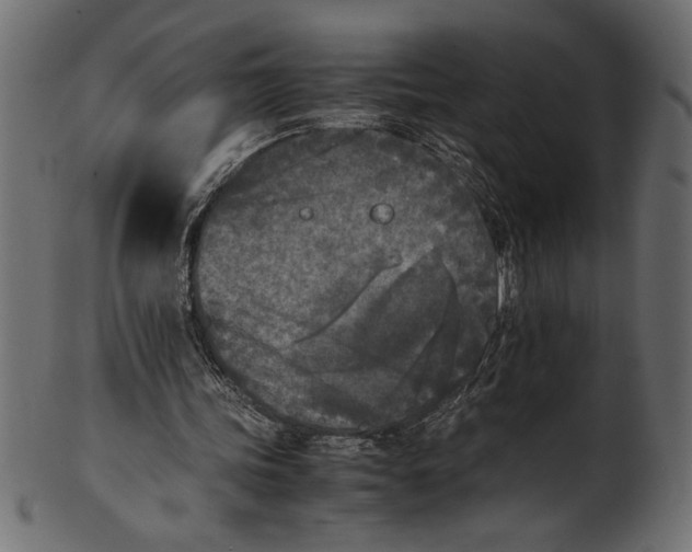X0000101220339200807181557