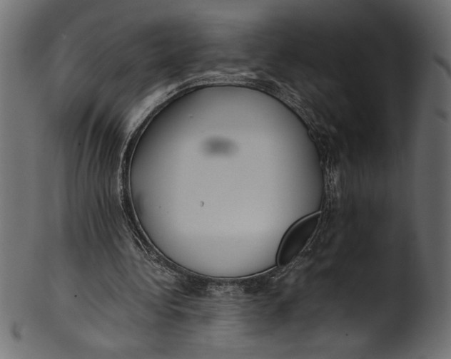 X0000101220340200807181557