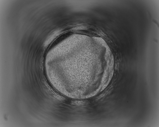 X0000101220341200807181557