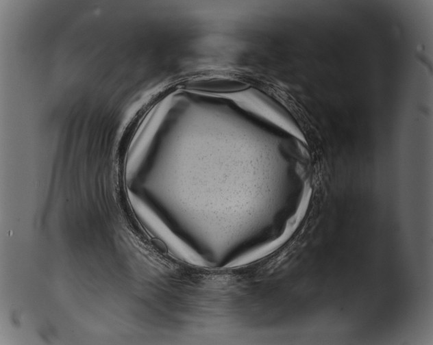 X0000101220342200807181557