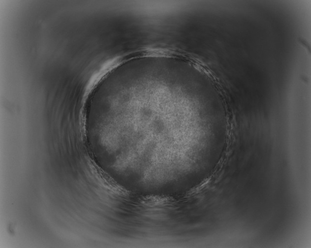 X0000101220343200807181557
