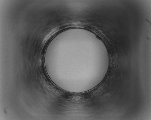 X0000101220344200807181557