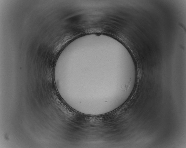 X0000101220345200807181557