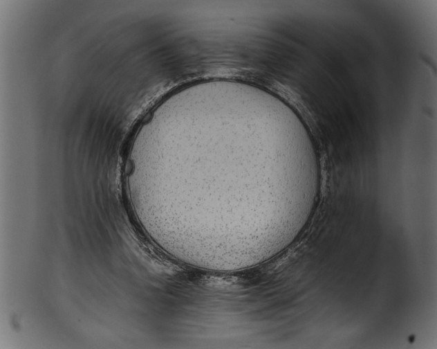X0000101220346200807181557