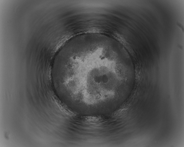 X0000101220347200807181557