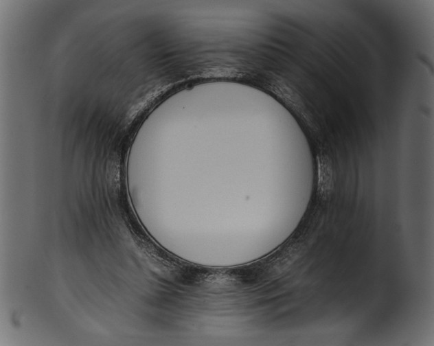 X0000101220348200807181557