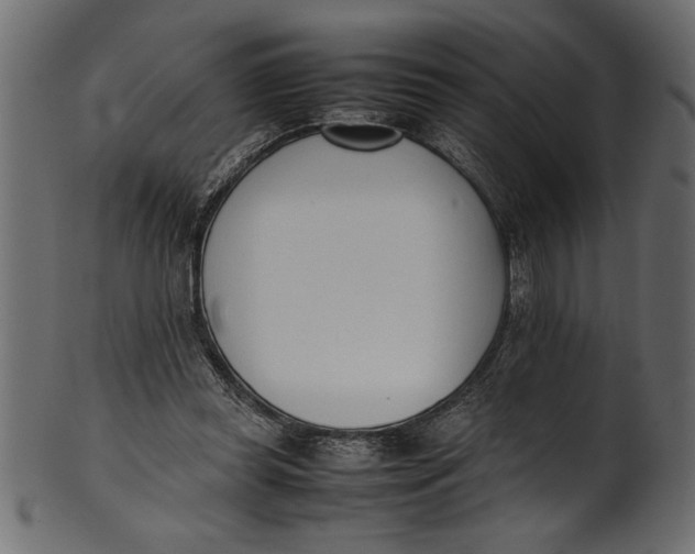 X0000101220349200807181557