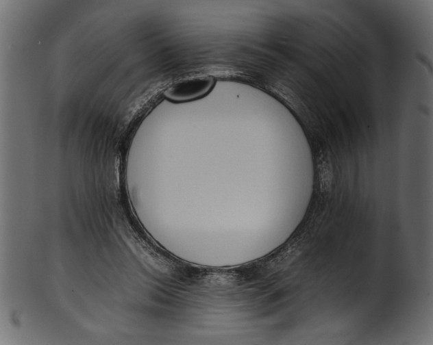 X0000101220350200807181557