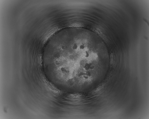 X0000101220351200807181557