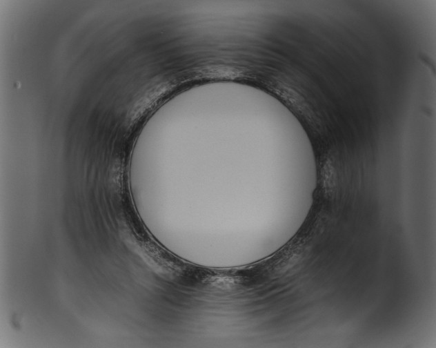 X0000101220352200807181557