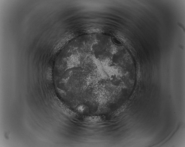 X0000101220353200807181557