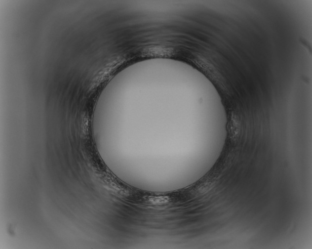 X0000101220355200807181557