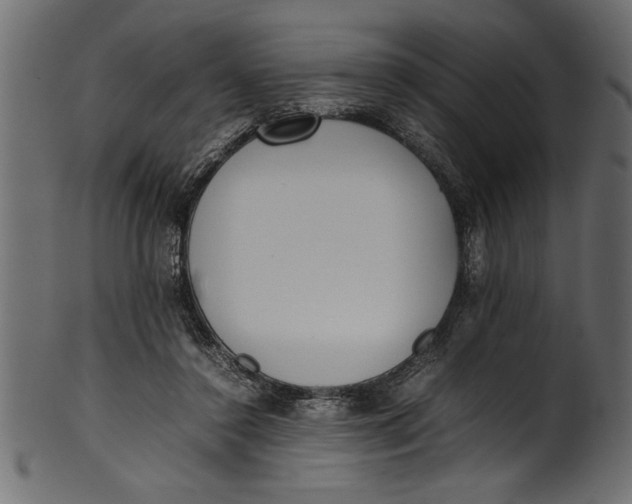 X0000101220356200807181557