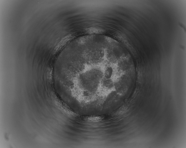 X0000101220357200807181557