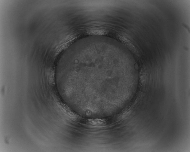 X0000101220359200807181557