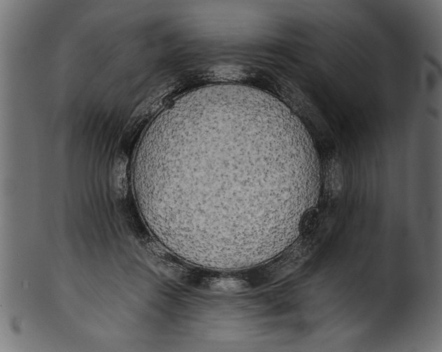 X0000101220360200807181557