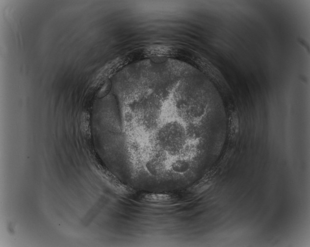 X0000101220361200807181557