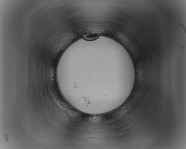 X0000101220362200807181557