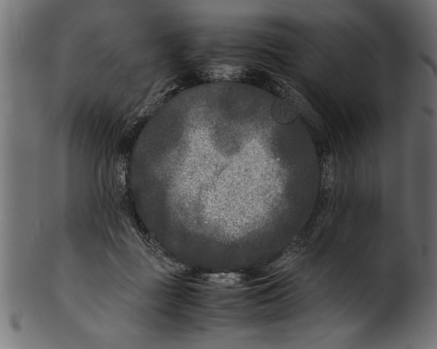 X0000101220363200807181557