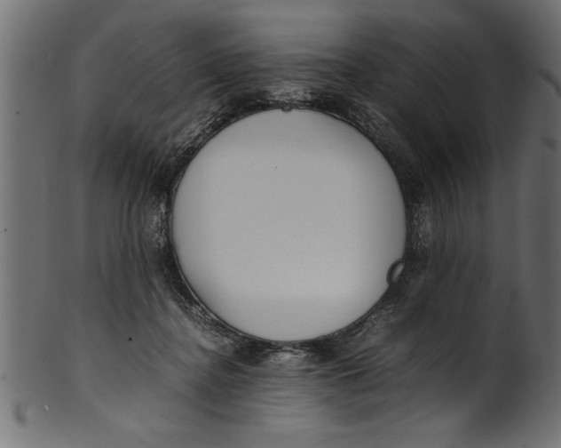 X0000101220364200807181557