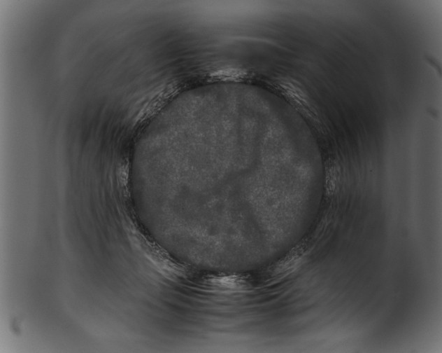 X0000101220365200807181557