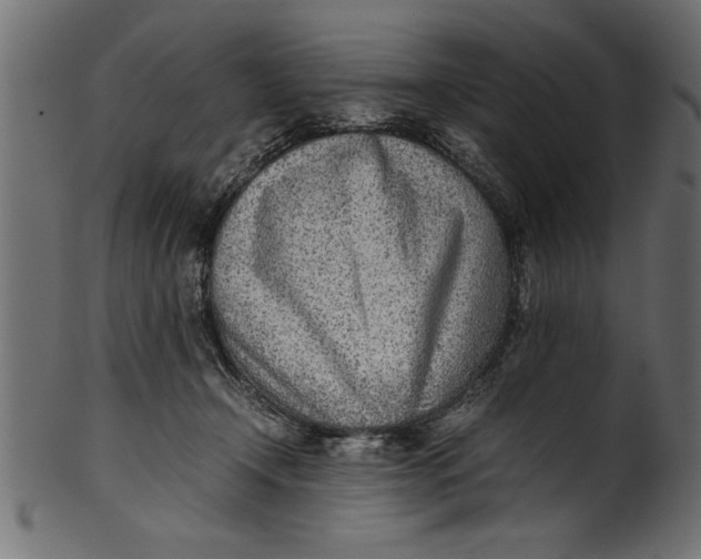X0000101220366200807181557