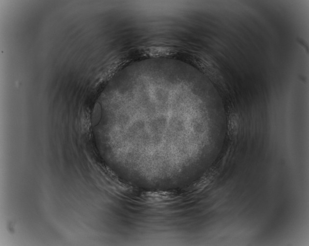 X0000101220367200807181557