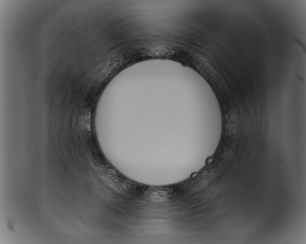 X0000101220368200807181557
