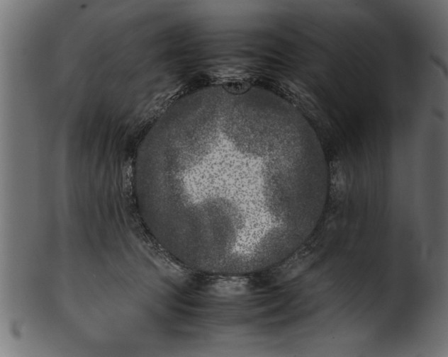 X0000101220369200807181557