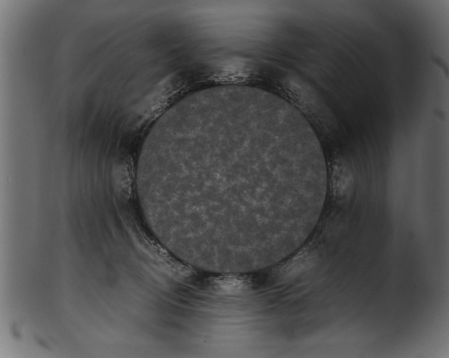 X0000101220370200807181557