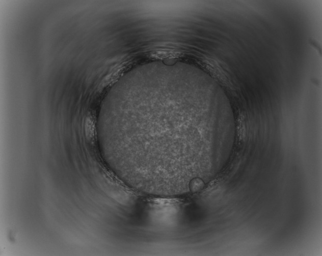 X0000101220371200807181557