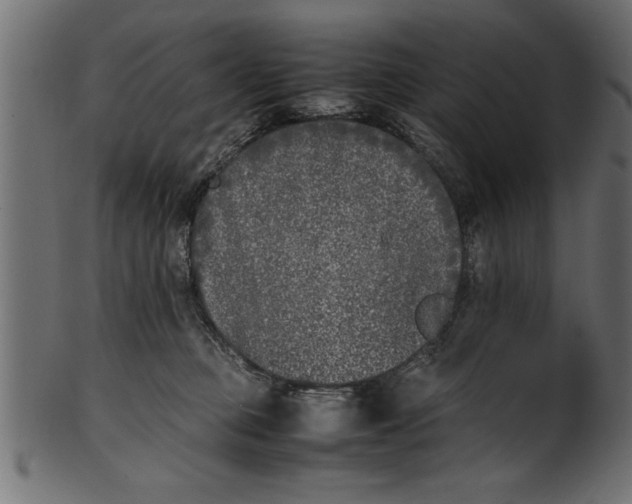 X0000101220373200807181557