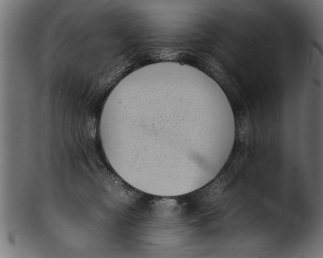 X0000101220374200807181557
