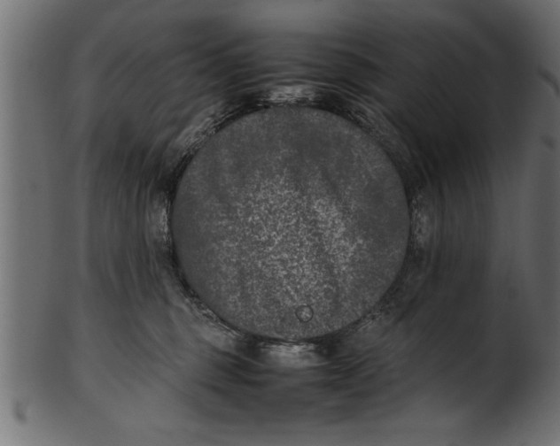 X0000101220375200807181557