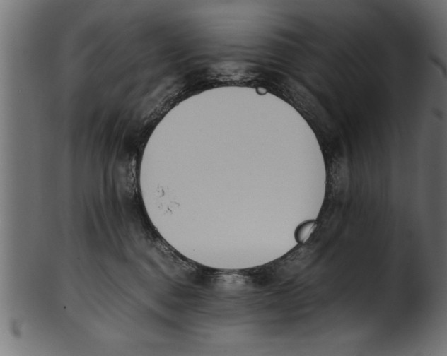 X0000101220376200807181557