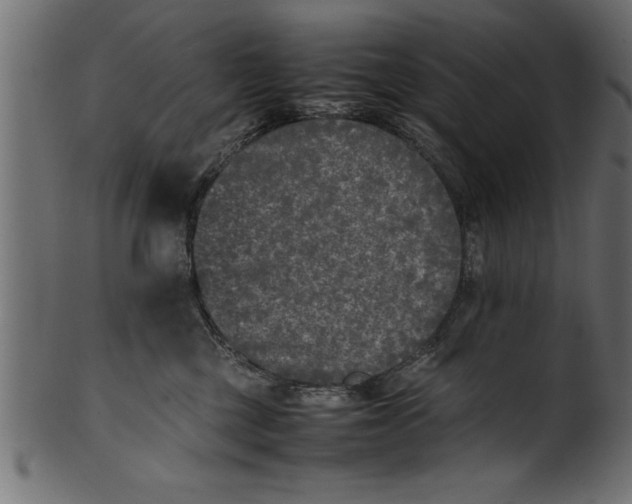 X0000101220377200807181557
