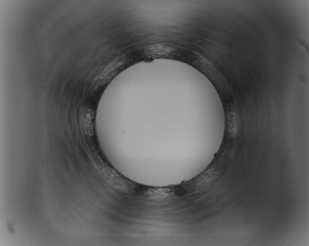 X0000101220378200807181557