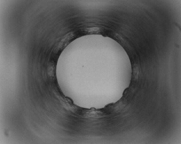 X0000101220379200807181557