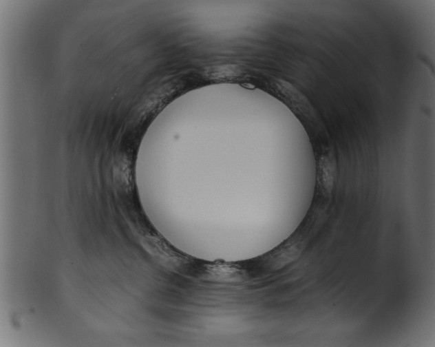 X0000101220380200807181557
