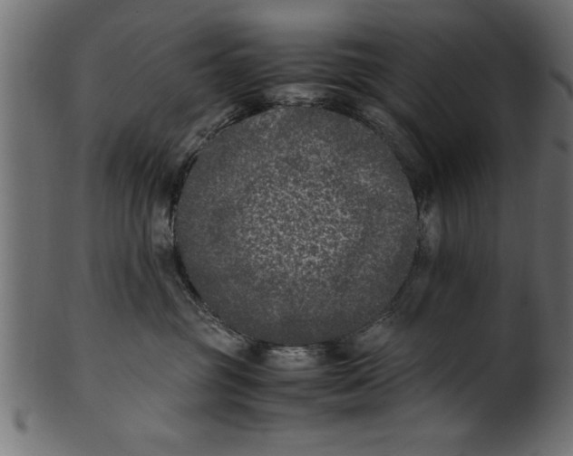X0000101220381200807181557