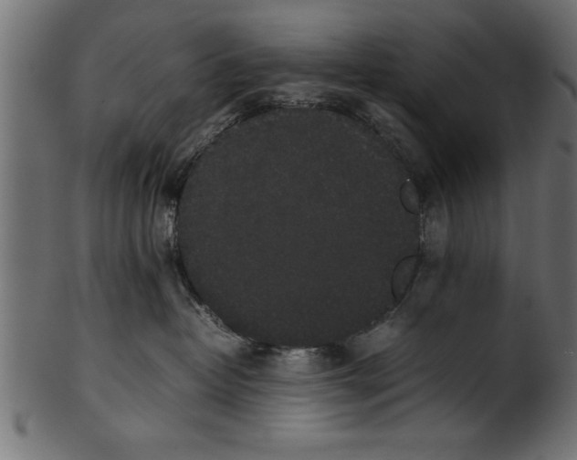X0000101220382200807181557