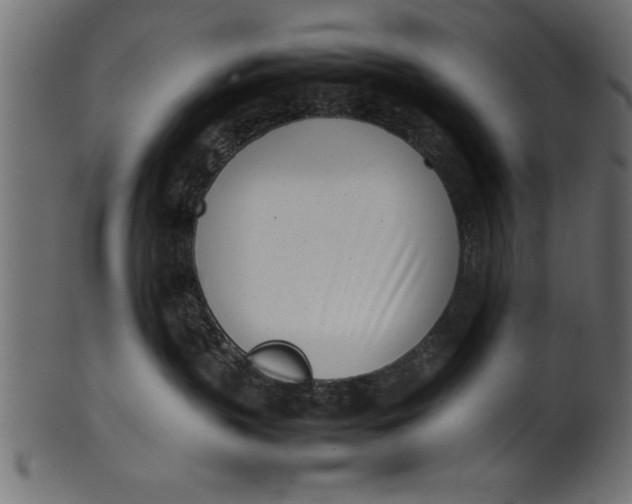 X0000101220383200807181557