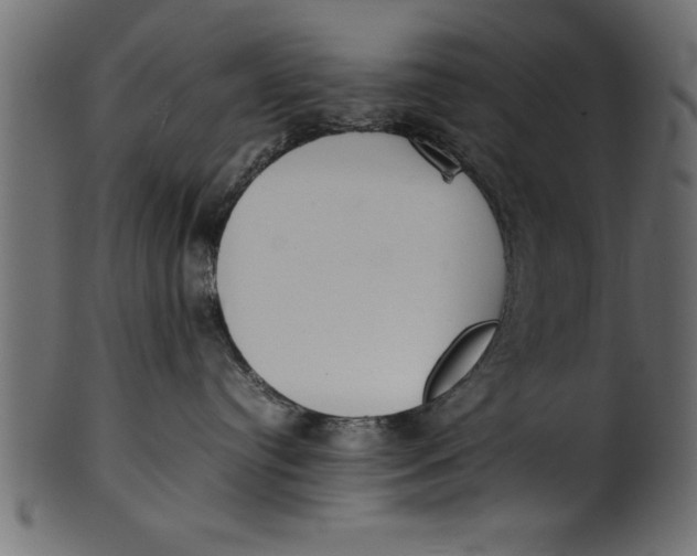 X0000101220384200807181557